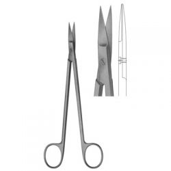 Kelly Delicate Scissors Str