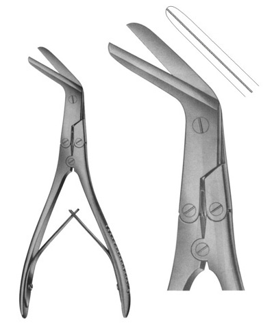 Killian Bone Shears