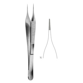 Delicate Dissecting Forceps