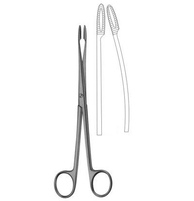 Gross Sponge Forceps without Ratchet
