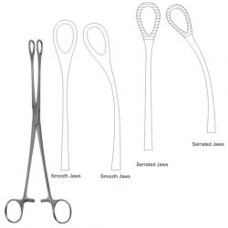 Foerster-Ballenger Forceps 24cm