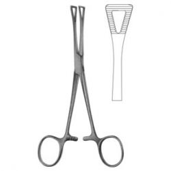 Pennington Forceps