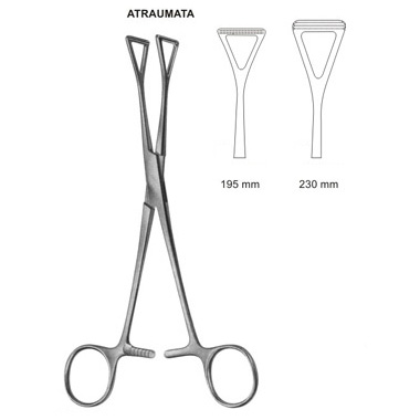 Collin Organ Forceps