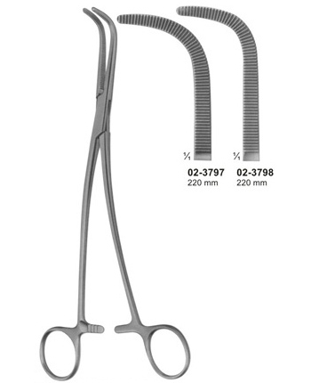 Gray Dissecting Forceps