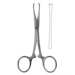 Chaput Forceps