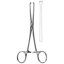 Allis Forceps 155mm