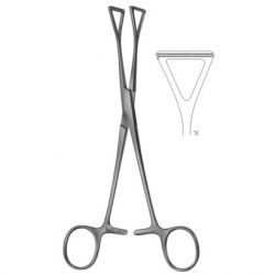 Collin Atraumata Forceps