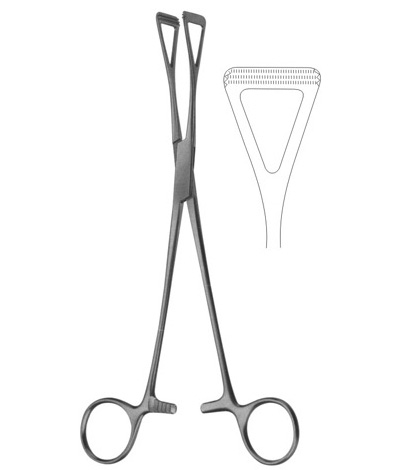 Collin Atraumata Forceps 230mm