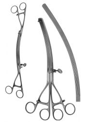 Lane Gastro Inrestinal Twin Forceps Cvd