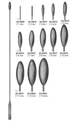 Bakes Common Bile Duct Dilators