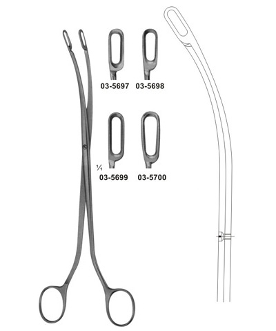 Desjardins Gall Stone Scoop